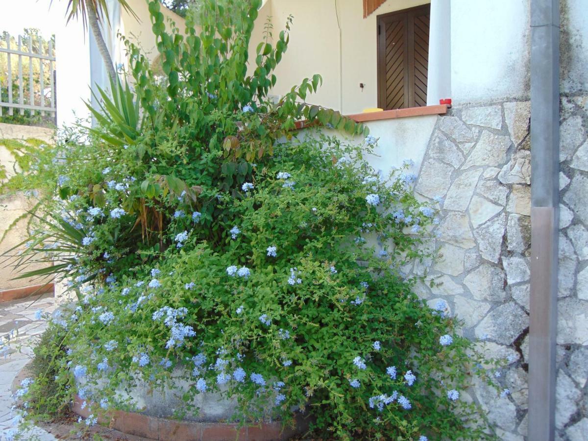 Villa Antonio Calderisi Vieste Exteriör bild