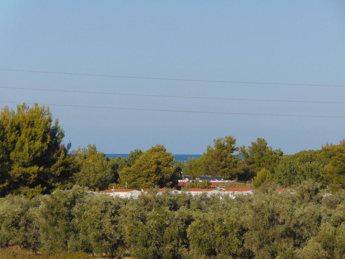 Villa Antonio Calderisi Vieste Exteriör bild
