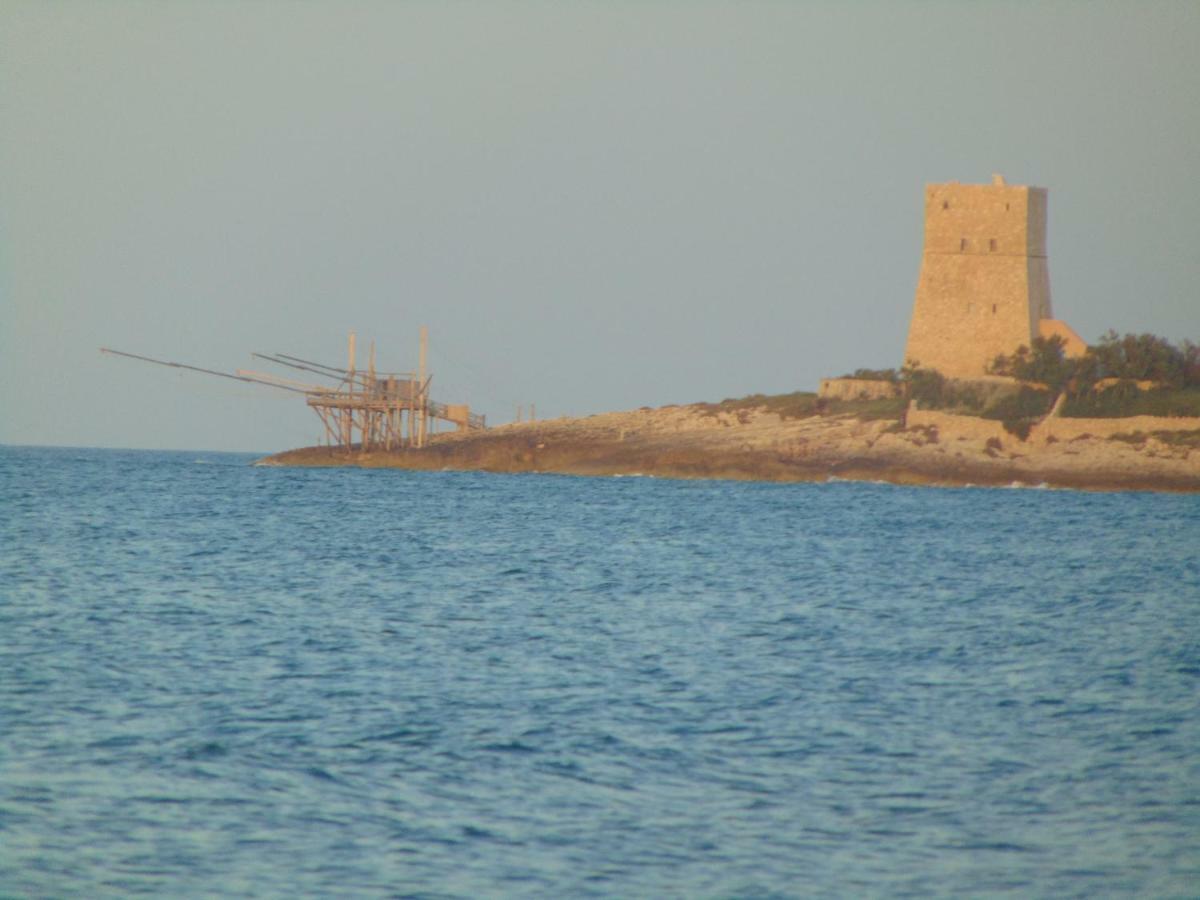 Villa Antonio Calderisi Vieste Exteriör bild